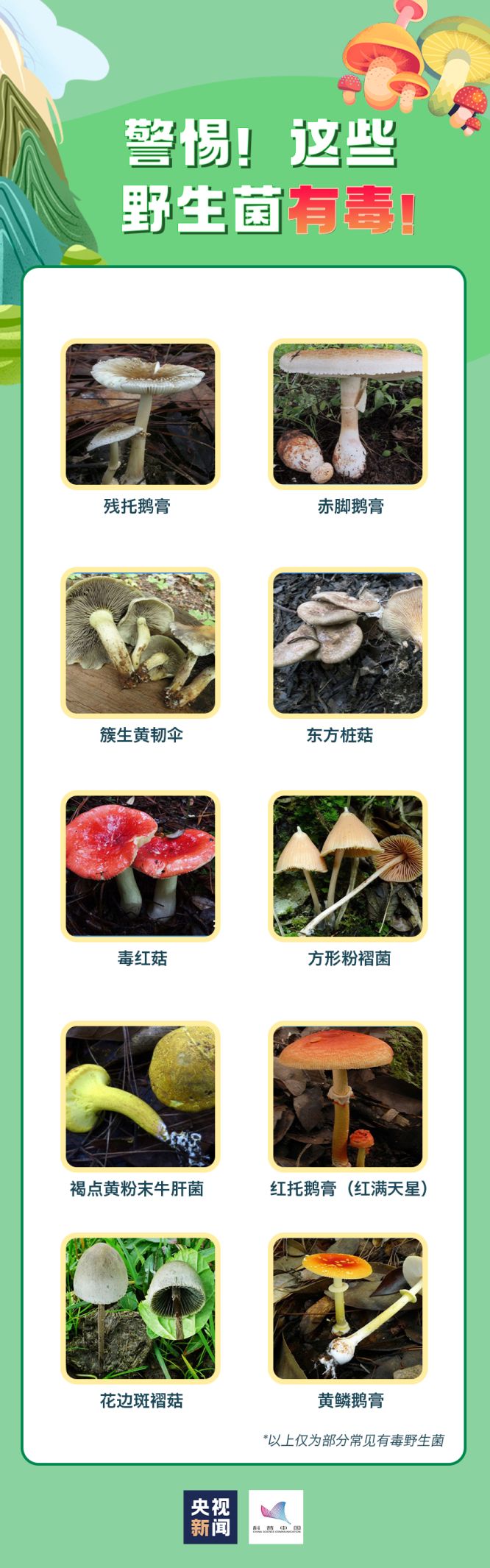 CB20260705174117808029.jpg