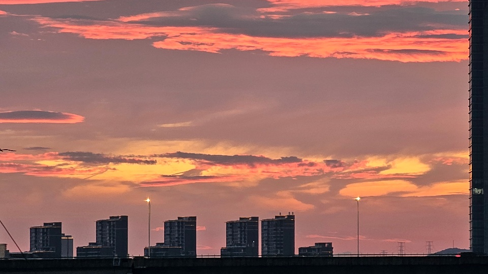 20260708_191117.jpg