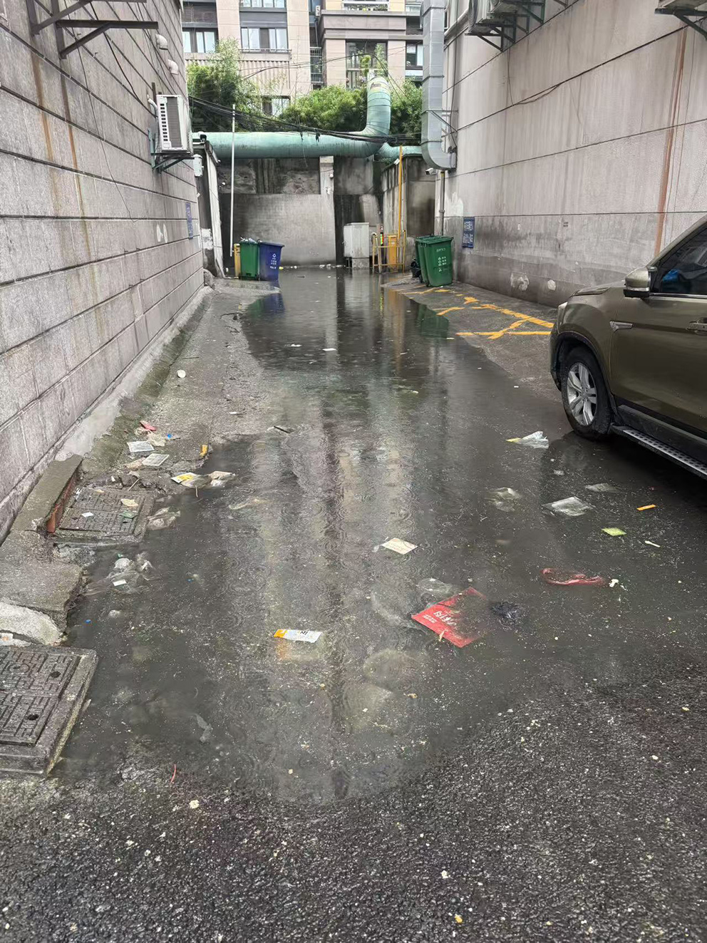 7月3日拍
