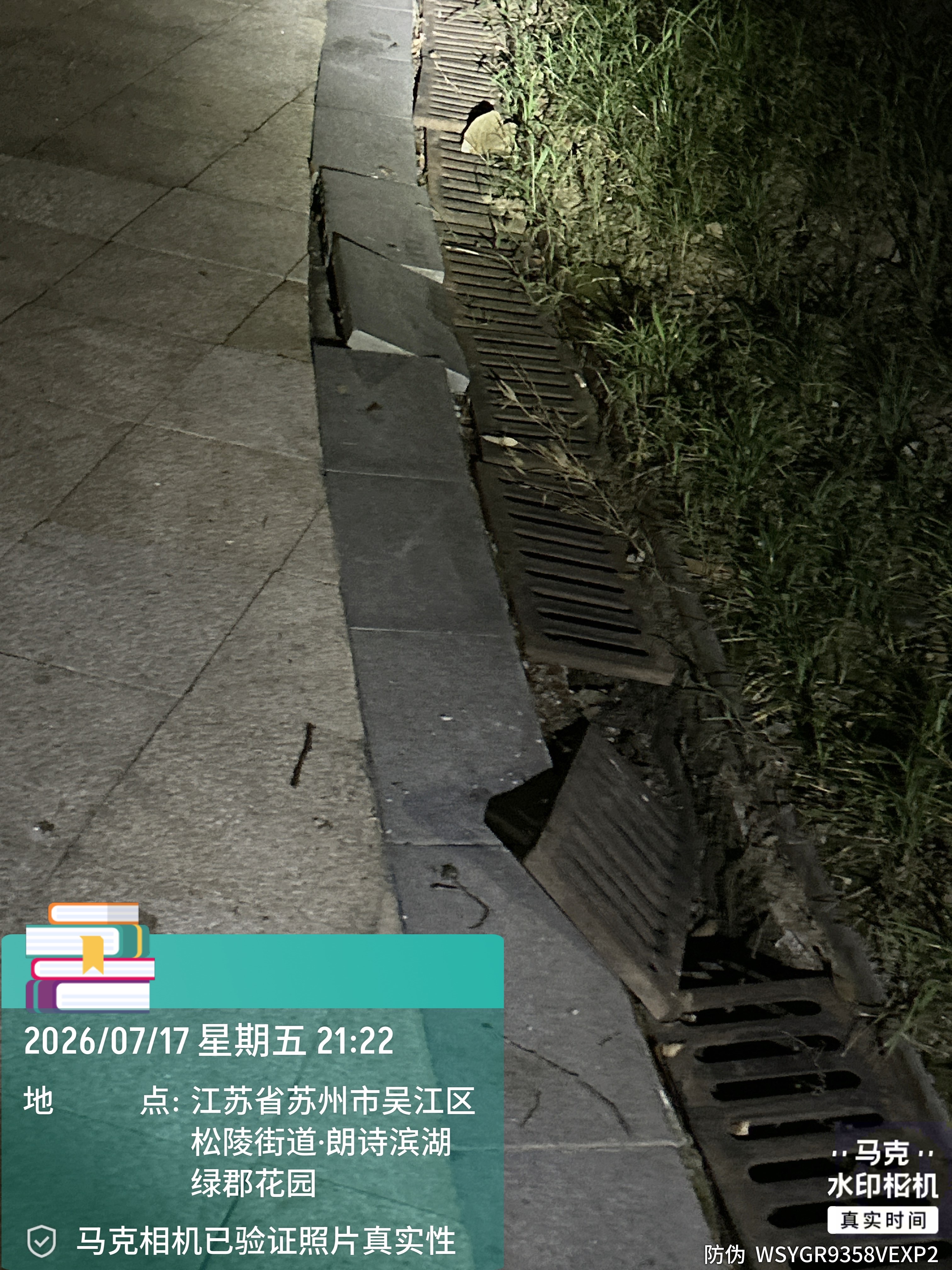 道路.jpg