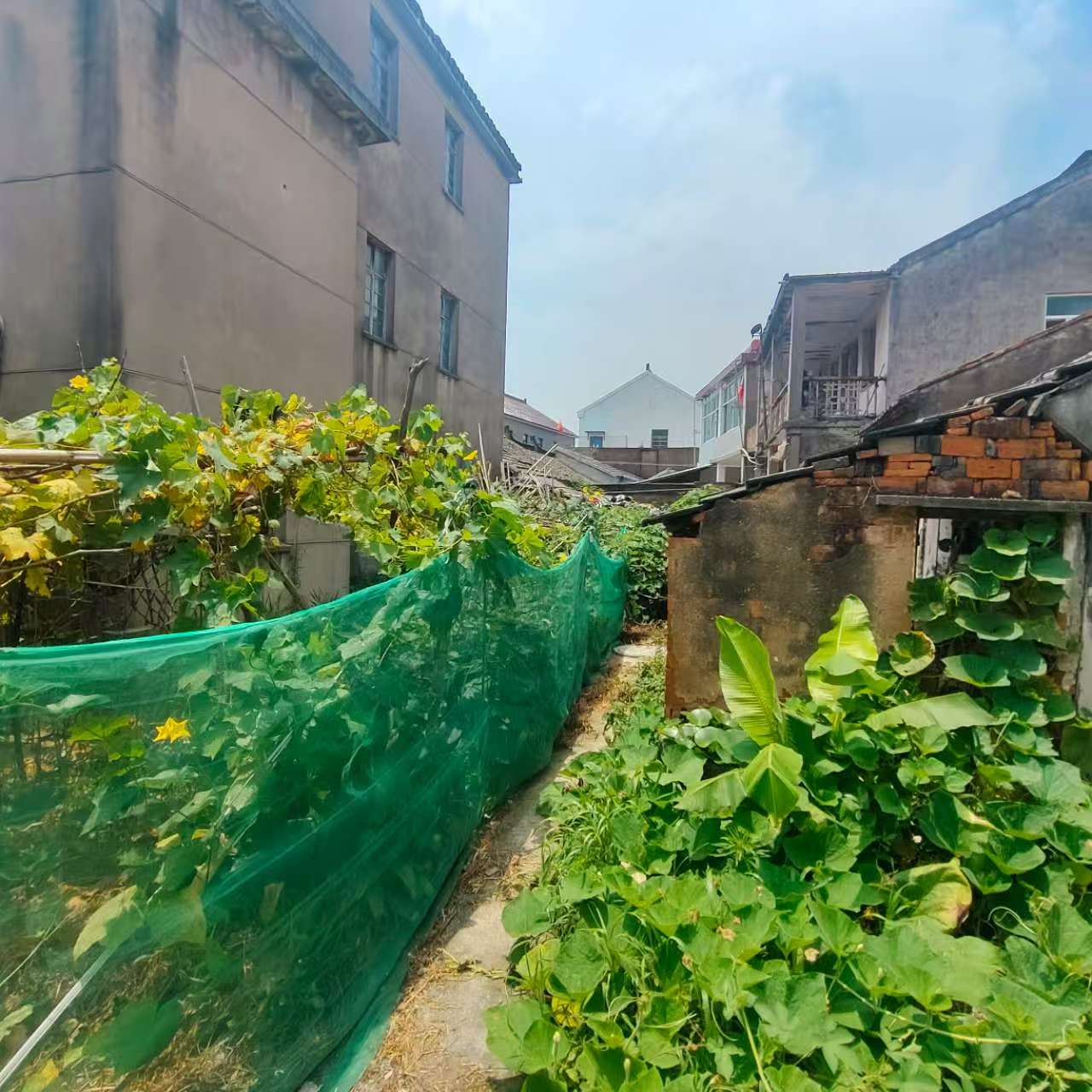 垃圾堆堵路