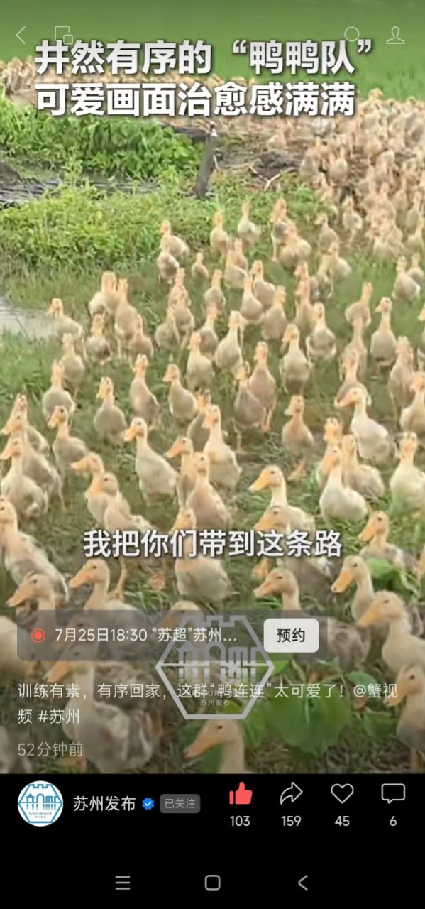 20260722123745front2_0_377966_FnN5yBGal5Je0gwG7-rGoCiCo57z.jpg