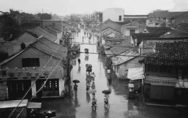 下载 (4).jpg