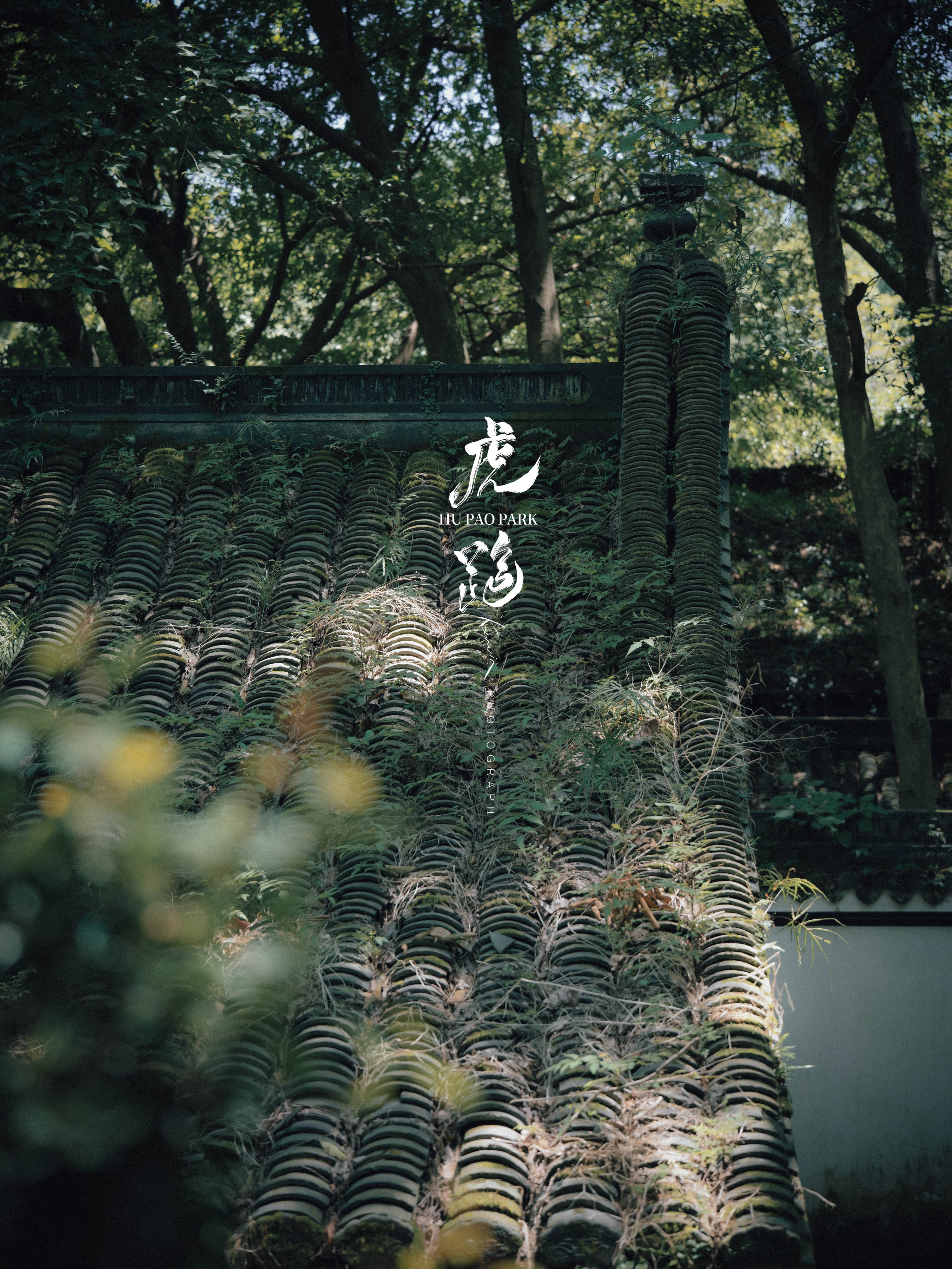 B0049230.jpg