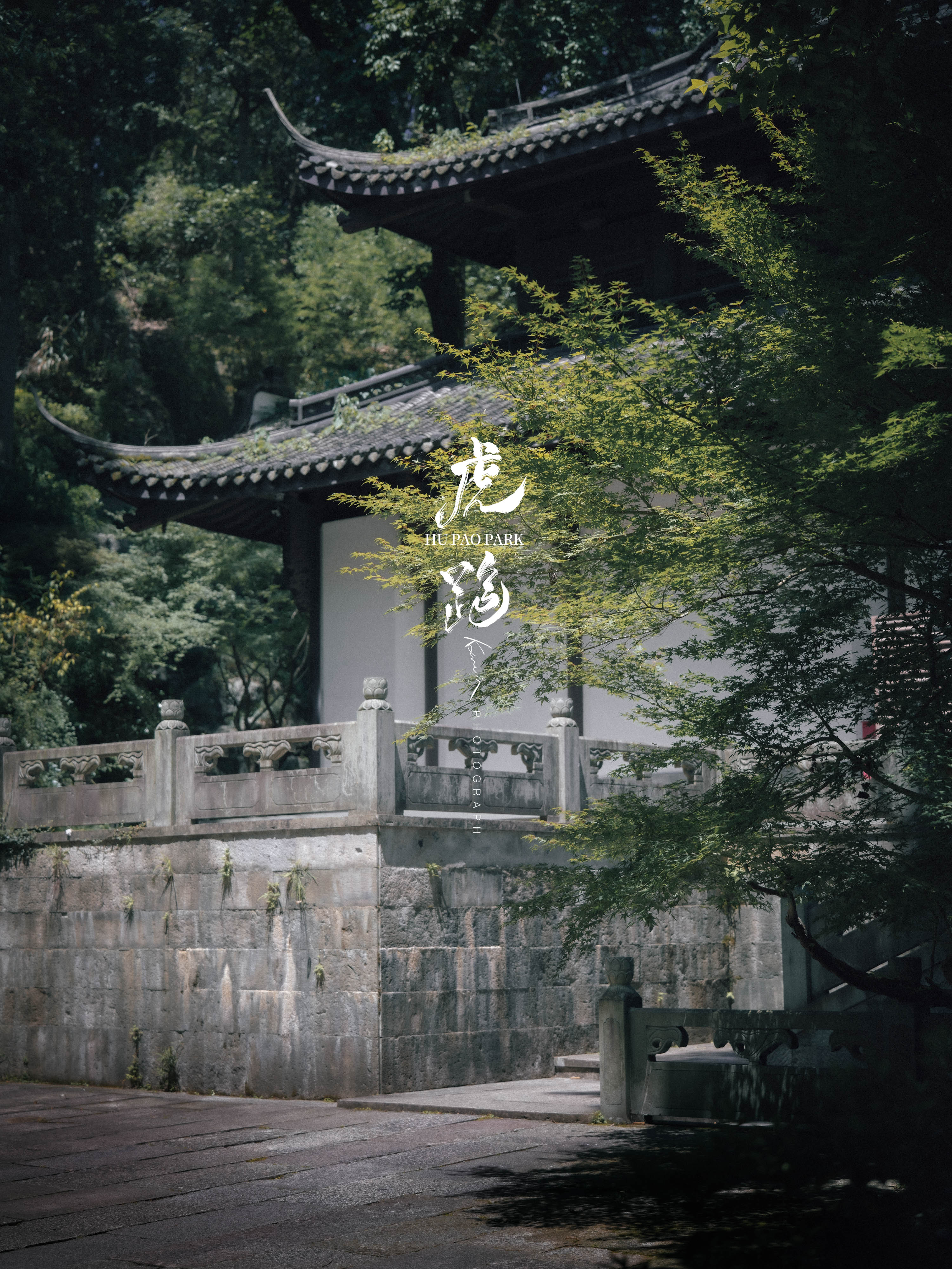 B0049234.jpg