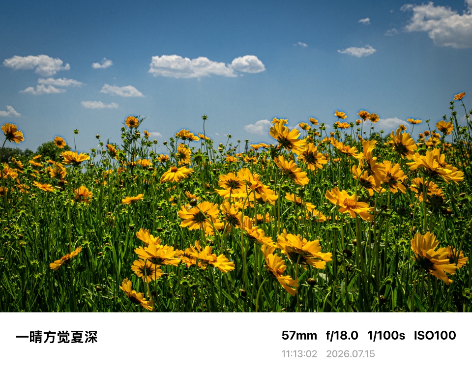 IMG_4802.jpeg