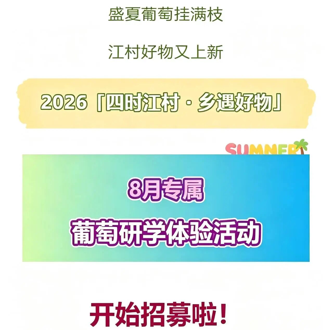 微信图片_2026-08-04_095416_981.jpg