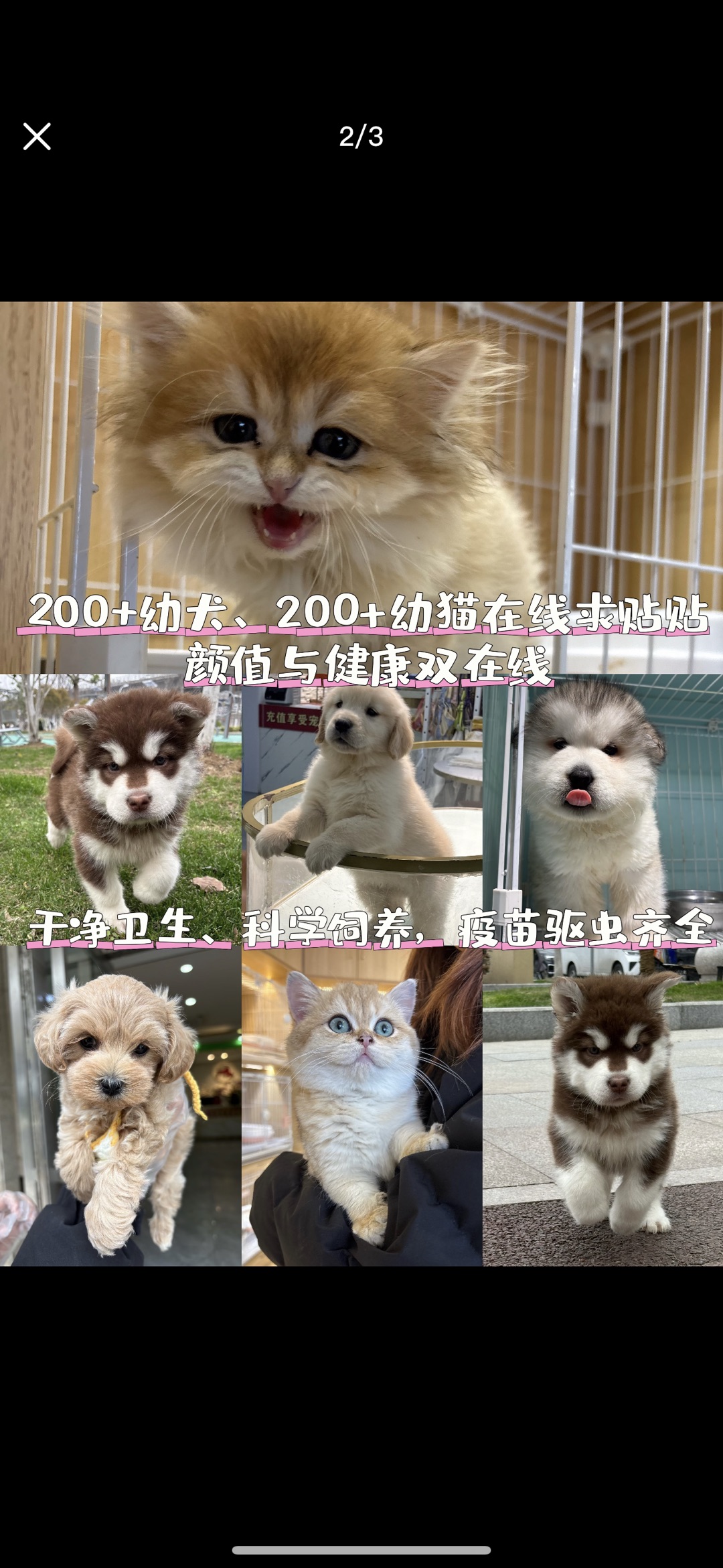 20260808124711front1_0_440411_FhyfPEtZKlfO-iP855OBQIoNtkyc.jpg