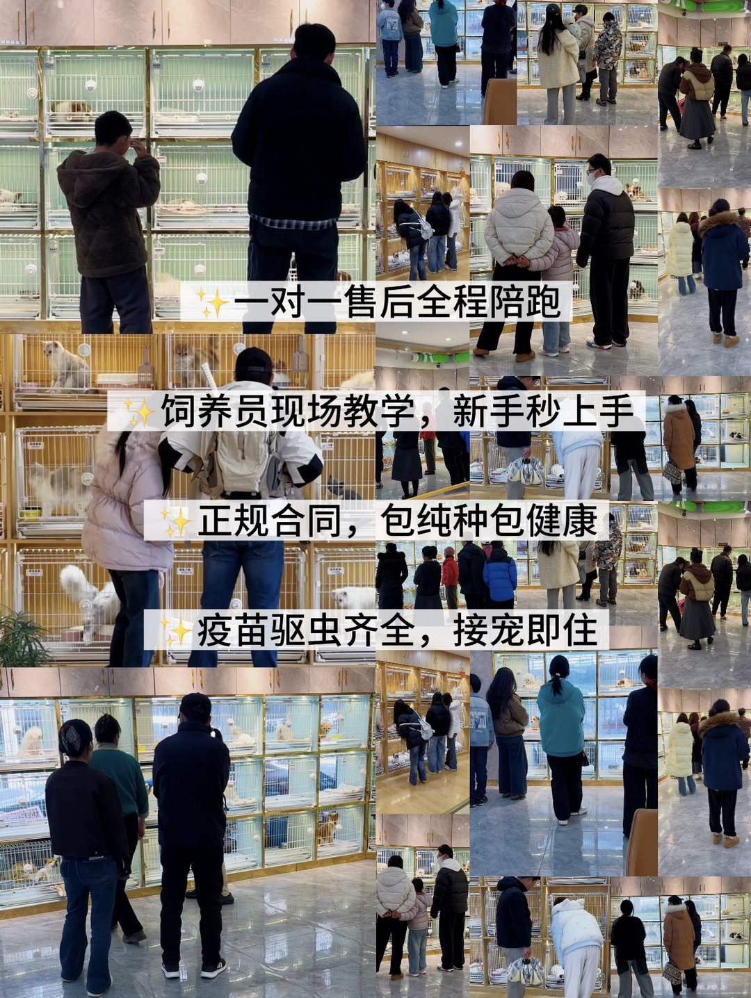 20260809112809front1_0_440411_FuU_P1shDnCa-7gcCl_qj17sqZIy.jpg