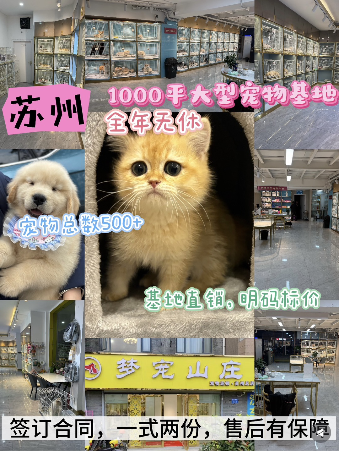 20260810122701front1_0_440411_FvH45aOe8l9jWGJQ8T7pjHpsWMo8.jpg