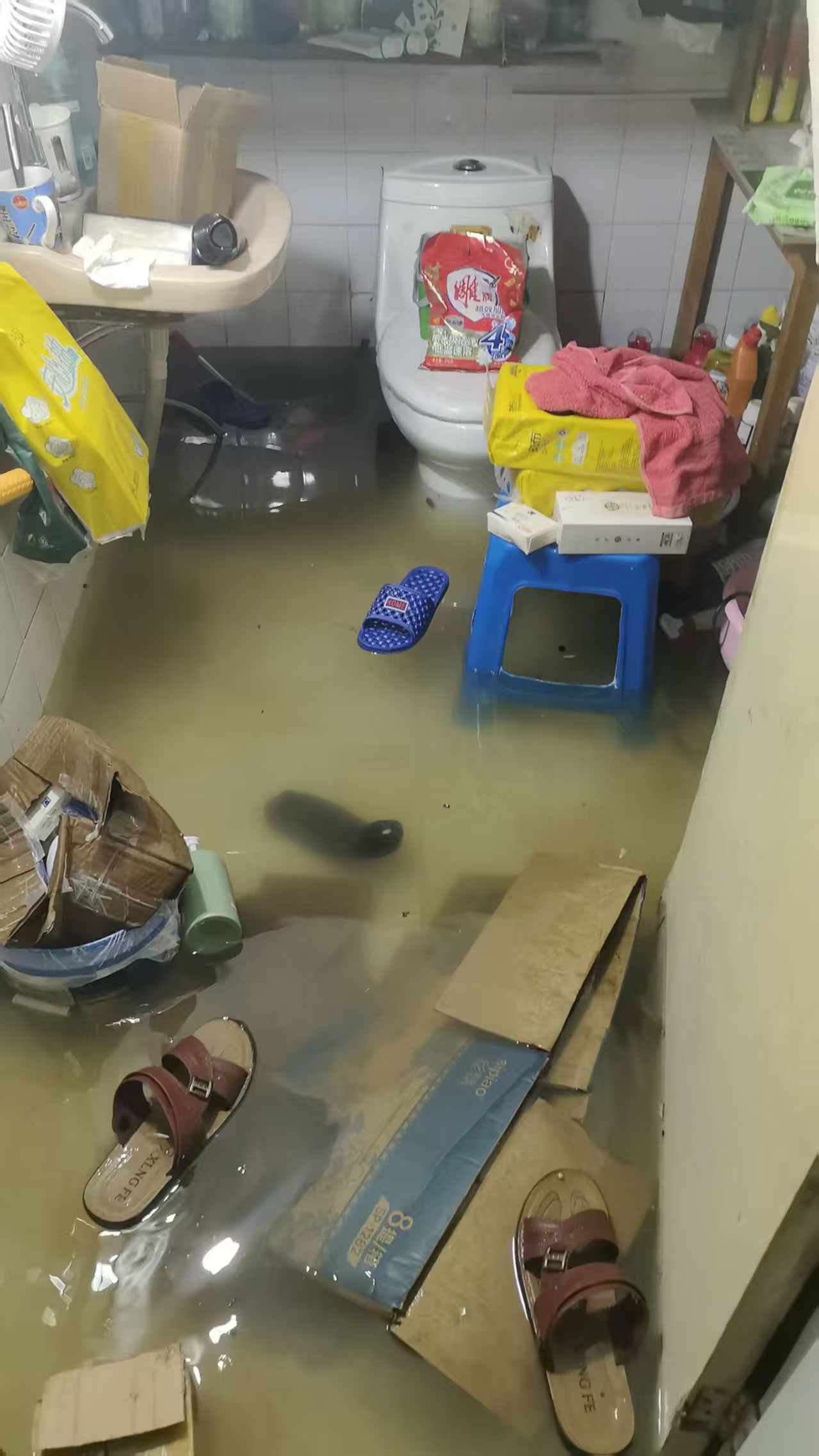 无情的雨