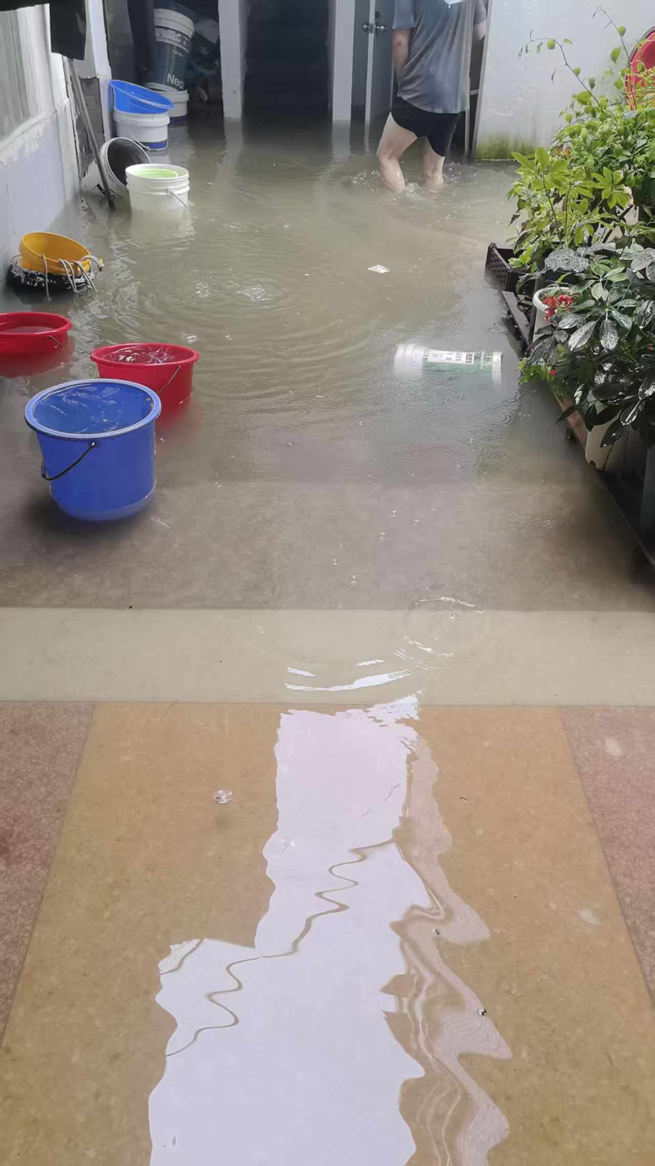 无情的下水道