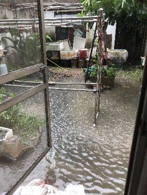 木进院门.png