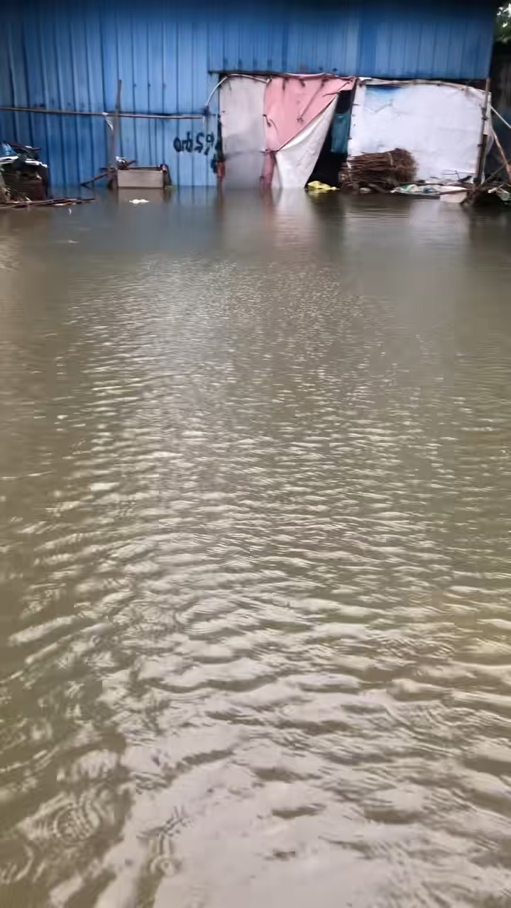 微信图片_20260811123829_1978_11.jpg