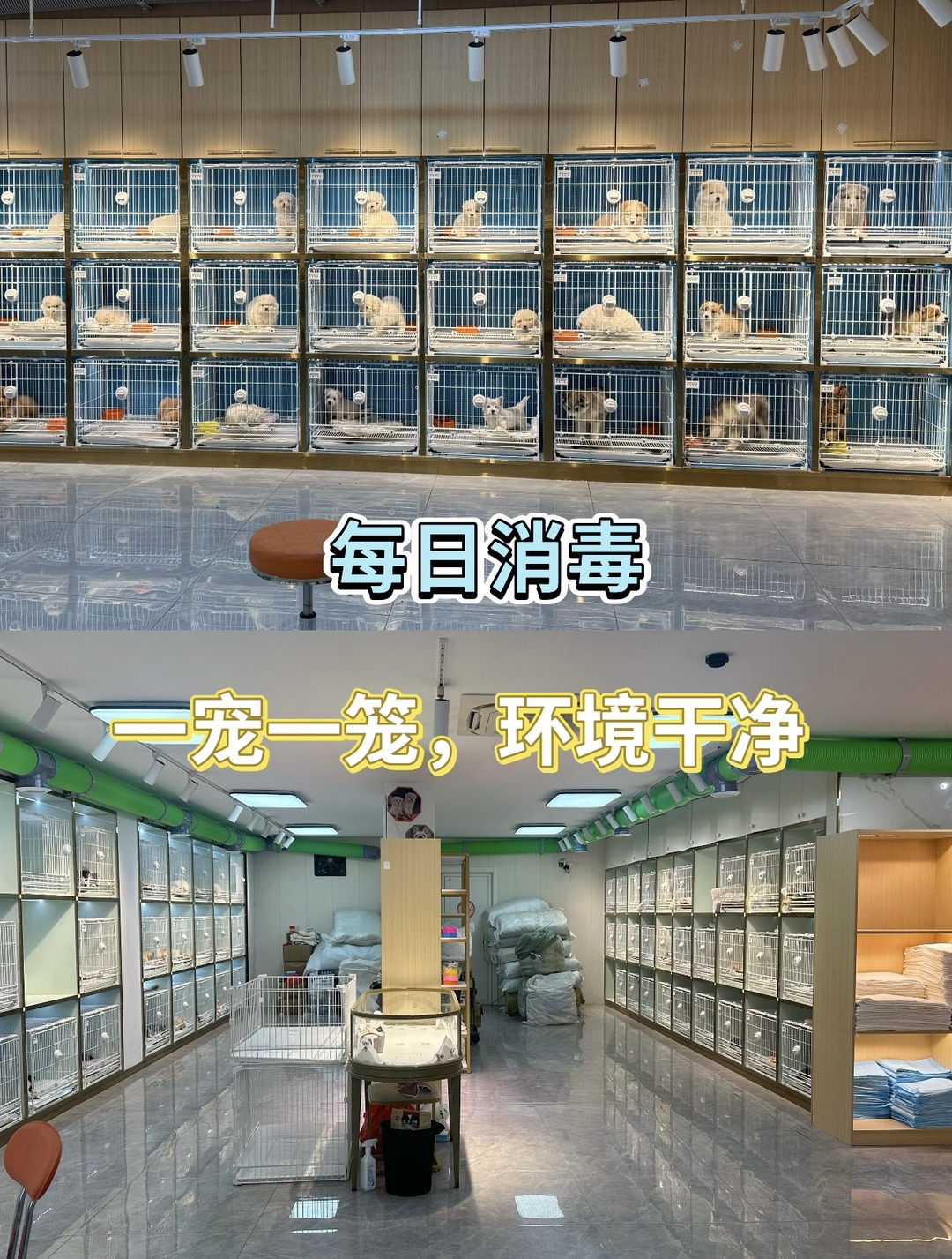 20260813115811front1_0_440411_FsCl6Wu9wwCcppohXyzDp8zqT5Qq.jpg