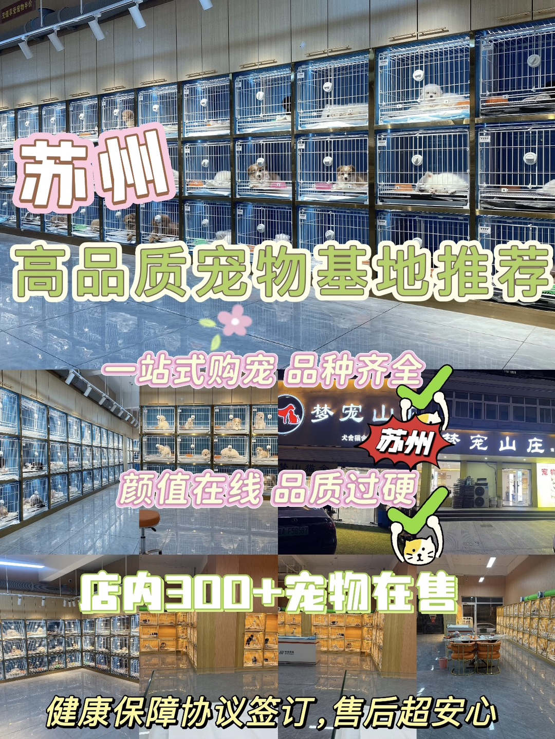 20260816121455front1_0_440411_Fm4jiQMo7ZQAavSHXEfKgnMx6G6L.jpg