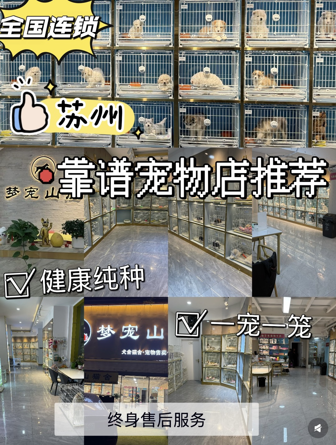 20260819125442front1_0_440411_Fkug1GdSH6oDhrA_PtqVVxS8hQXj.jpg
