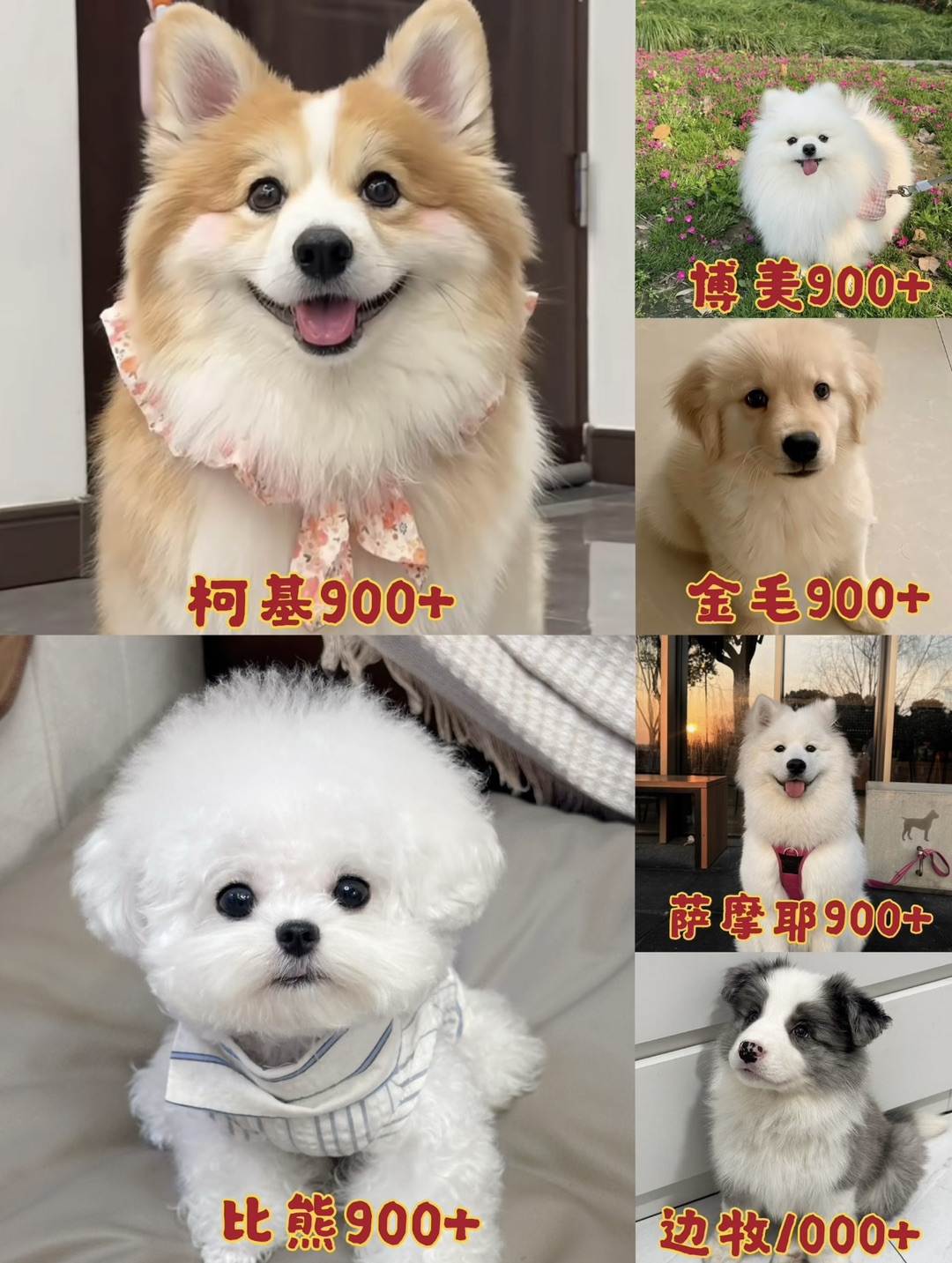 20260825120737front1_0_440411_FjVe-yf0HYXzbeSsUbQUN2bcuOoa.jpg