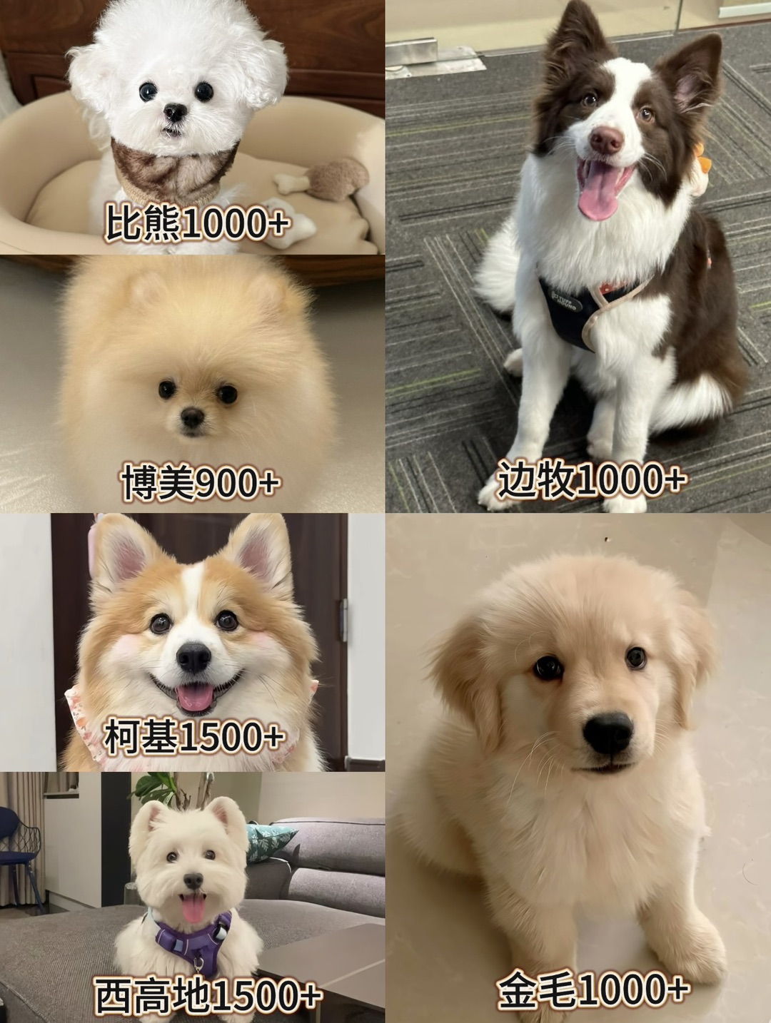 20260901094506front1_0_440411_FtuMxSit6J8HRi_FfFtMAk1jJdnz.jpg