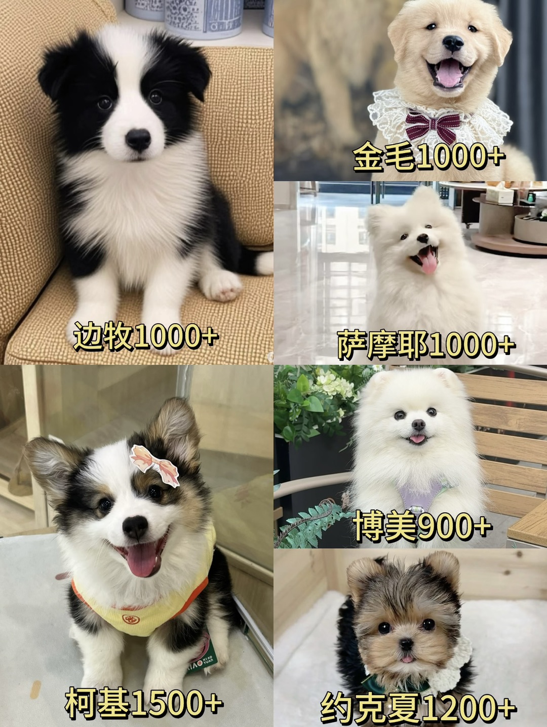 20260902185710front1_0_440411_Fh4wJ7uxeINwuZ2a3hE_1S17R4hv.jpg