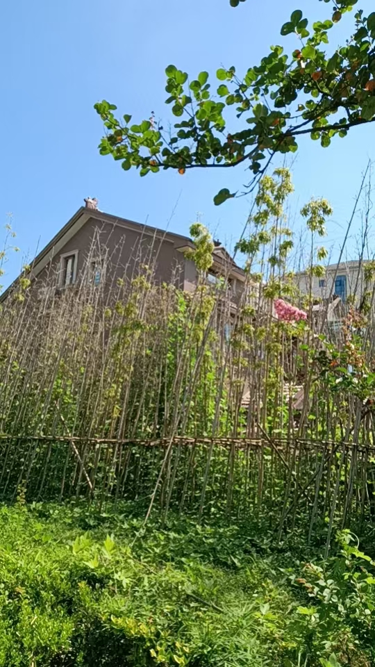 微信图片_20260907093957_209_87.jpg