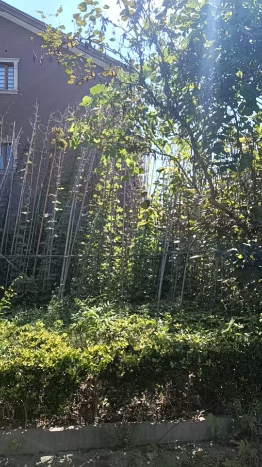 微信图片_20260907094034_210_87.jpg