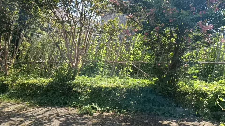 微信图片_20260907093902_206_87.jpg