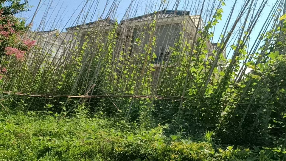 微信图片_20260907093841_205_87.jpg