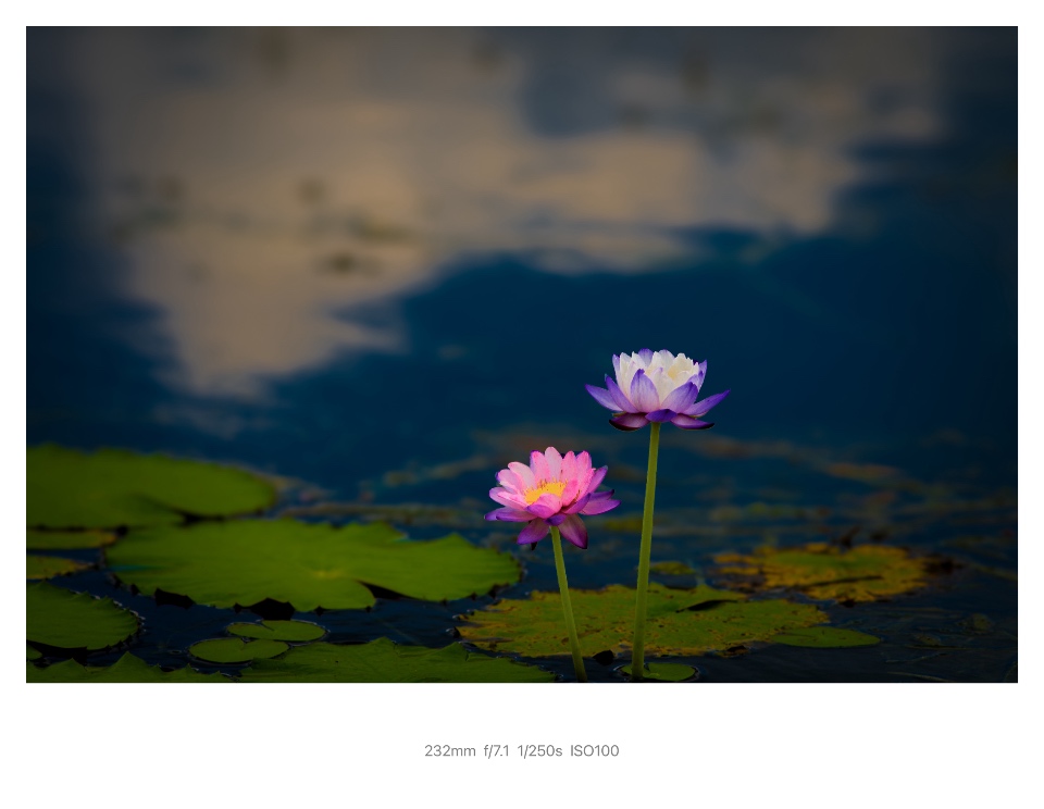 IMG_5242.jpeg
