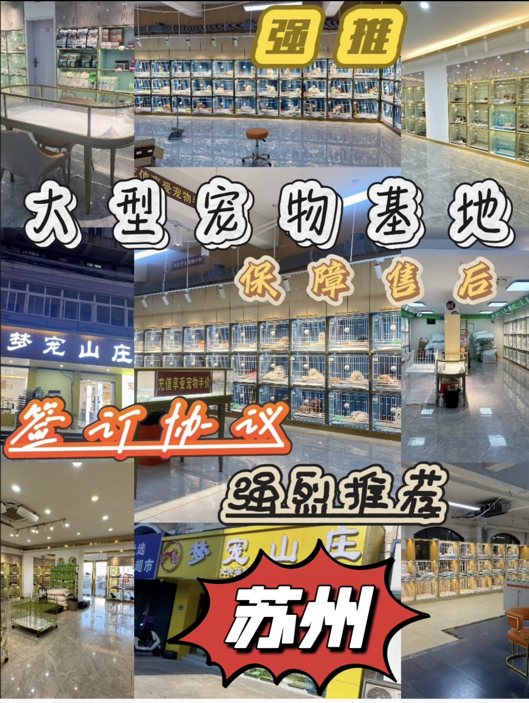 20260920093318front1_0_440411_FmYcAYOIRV9eKW_xjVs2OxgDMCa1.jpg
