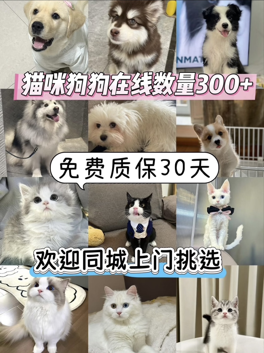 20260923102436front1_0_440411_Flb03tmStSvZH57KHnlw9yb8Q59g.jpg
