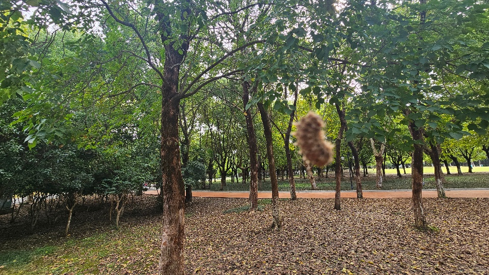 20261005_093314.jpg