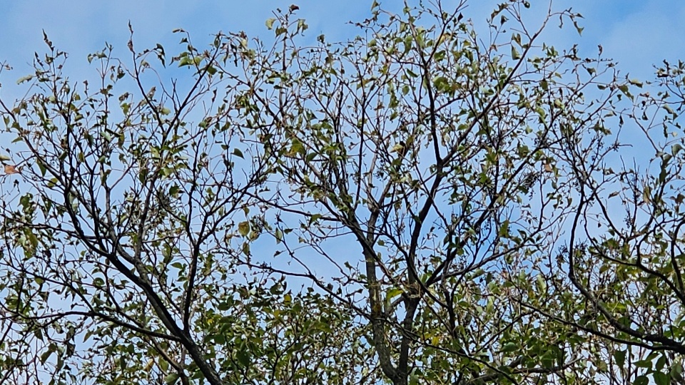 20261005_092329.jpg