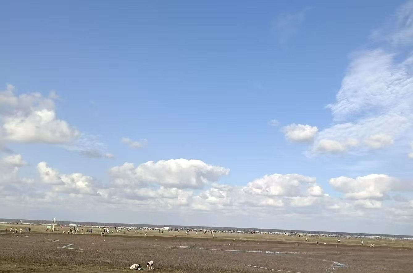 13.jpg