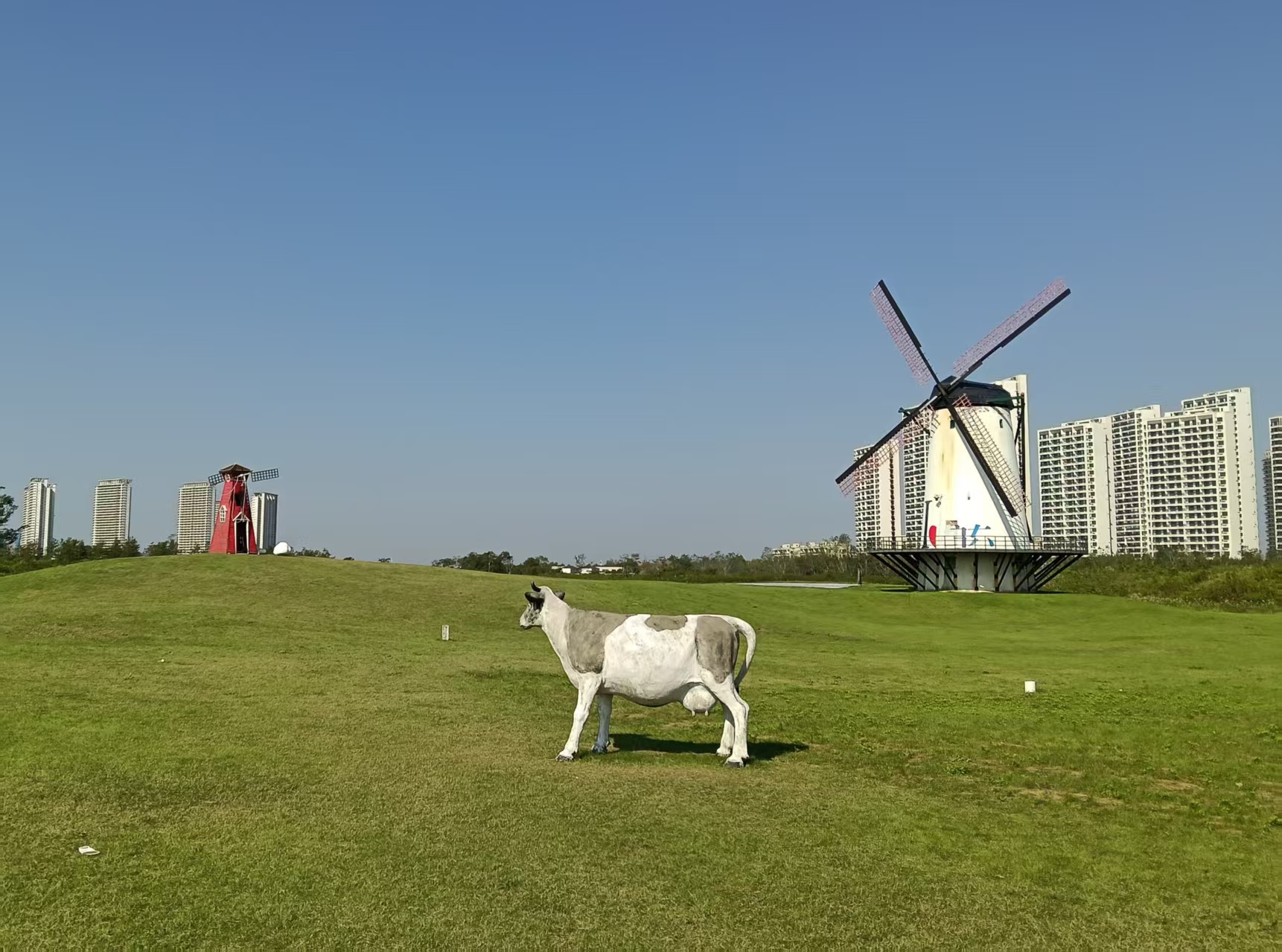 03.jpg