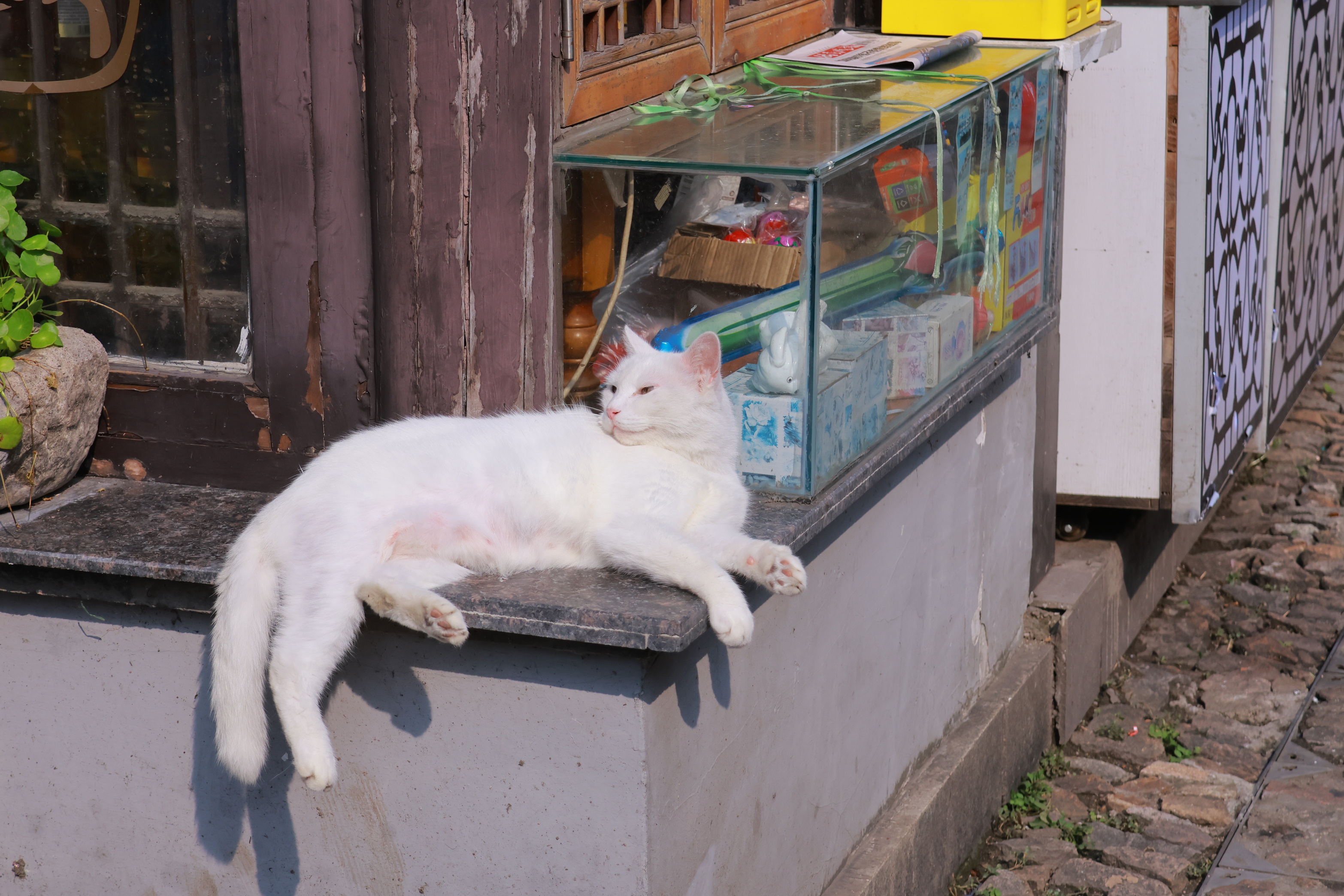 IMG_0022_调整大小.JPG