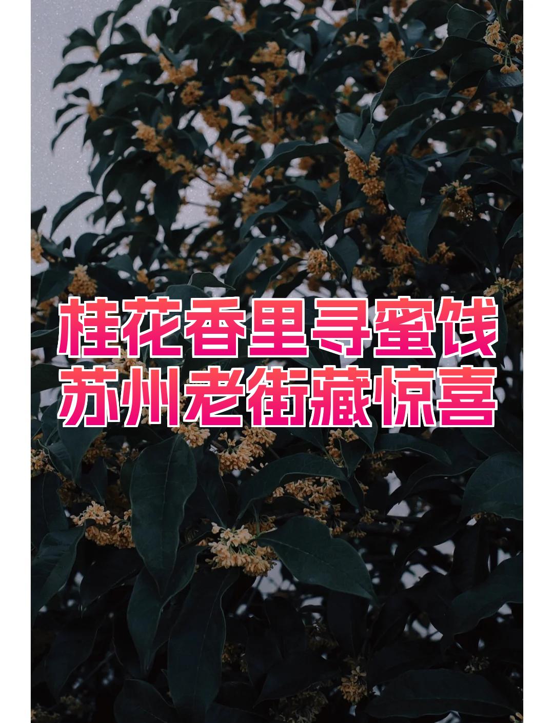 ae8fb55f6911b5f99ae1f7f6110f8842.jpeg