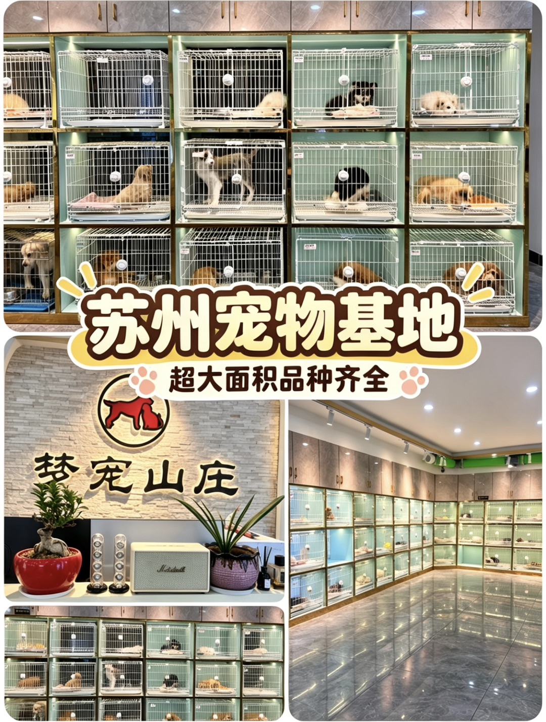 20261015091458front1_0_440411_FjXPenGWzU7KD6koWmyBr8ptWdEc.jpg