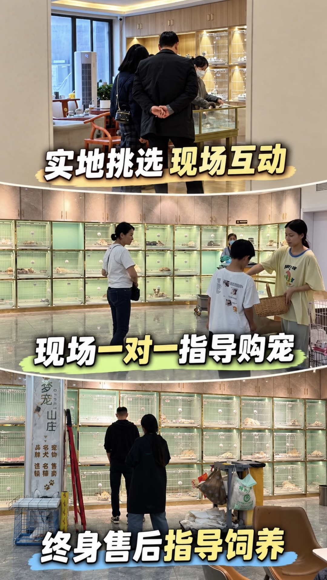 20261015091458front1_0_440411_FkBC98faC7MHvz6t3KG3hhwFwngY.jpg