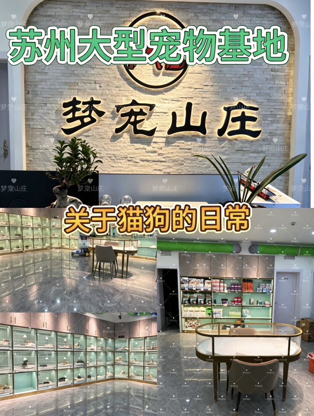 20261016111746front1_0_440411_FirfeMRS68h5JstI1TwBELxzl9FF.jpg