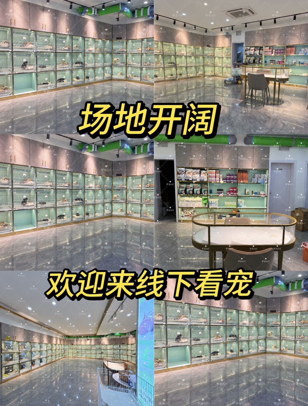 20261022100009front1_0_440411_FgN5QLCiTBrNvBIkDTyapuOXj38_.jpg