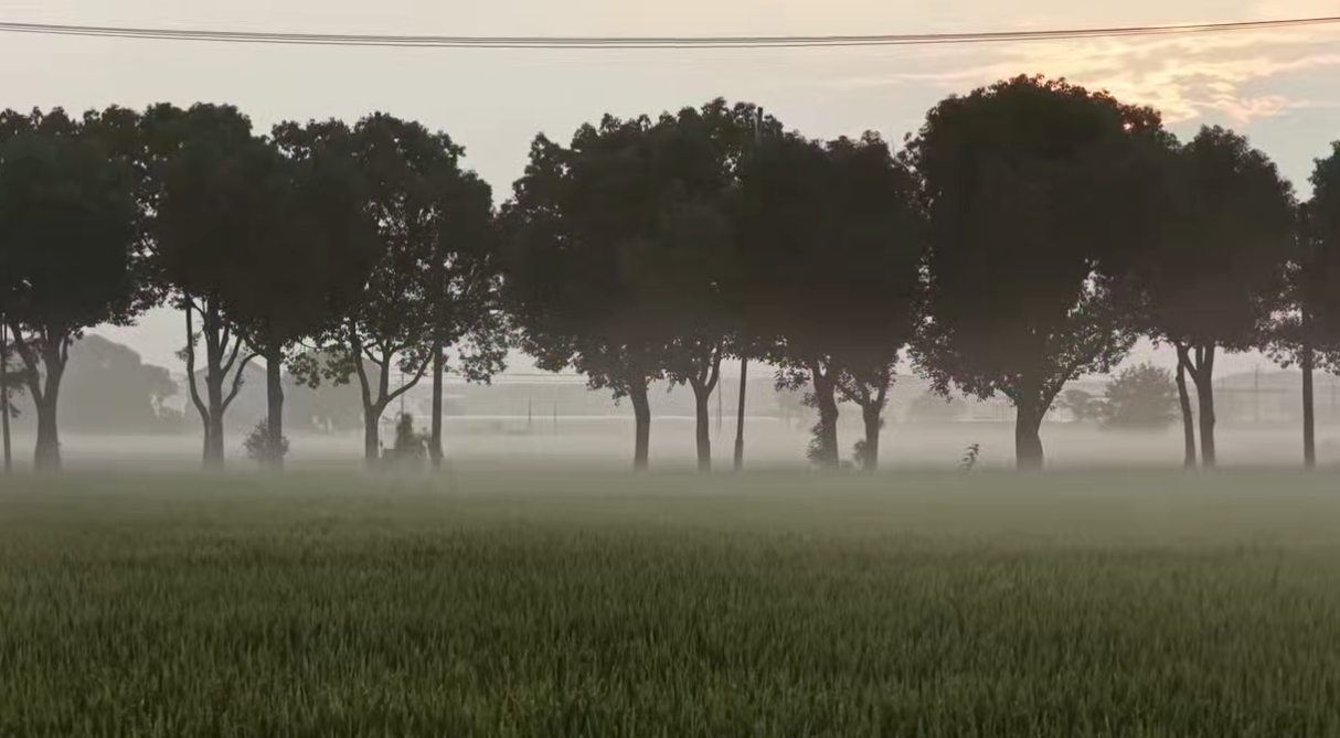 6aa64a4e-9dd6-4829-8dd2-634b3a39bf5e.png