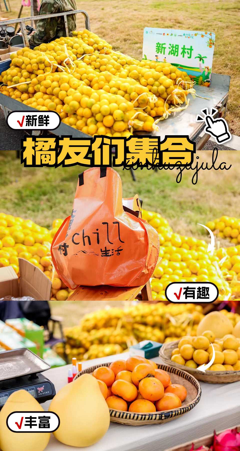 景区景点旅游攻略简约公众号首图 (2).jpg