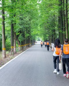 《十年乡间路》组图