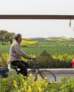 《美美农家路》拍摄地点：黎里镇它小圩村道；拍摄时间...