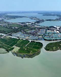 水乡色彩