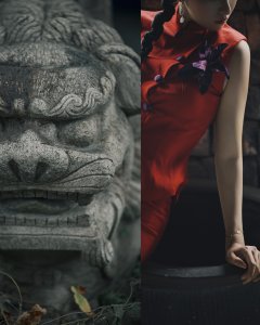 旧物志（石篇）——在横泾旧木市场拍照真的很神奇