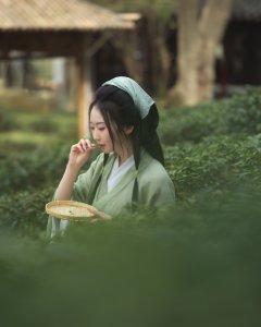 春采赋——原来虎丘里面还有一片茶园可采茶
