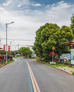 鲜花大道