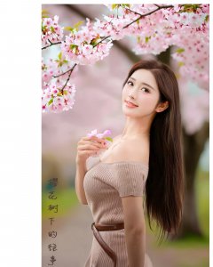 樱花树下的故事